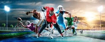 朴赞浩以火球男姿态在道奇队成名，成为首位在大联盟取得成功的韩国投手